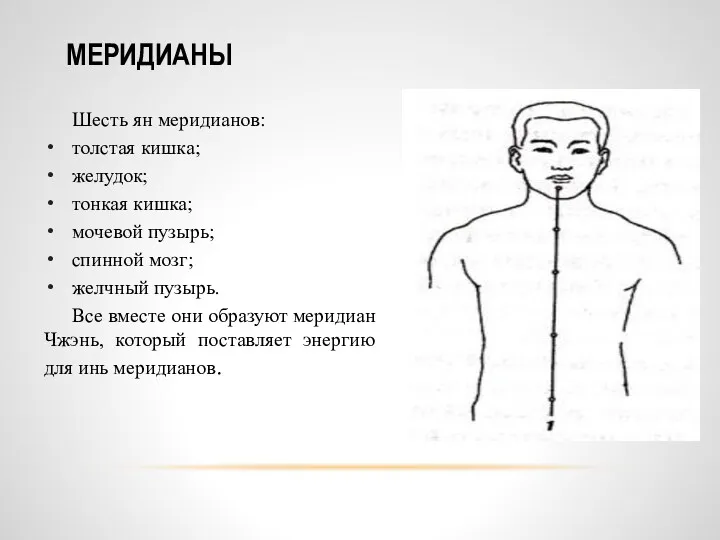 Шесть ян меридианов: толстая кишка; желудок; тонкая кишка; мочевой пузырь; спинной мозг; желчный