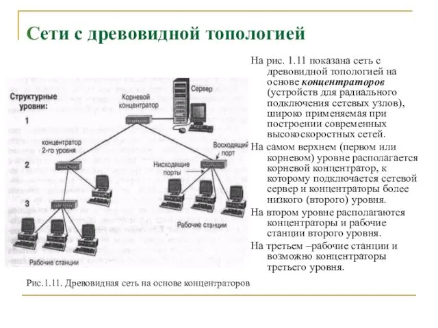 Сети с древовидной топологией На рис. 1.11 показана сеть с