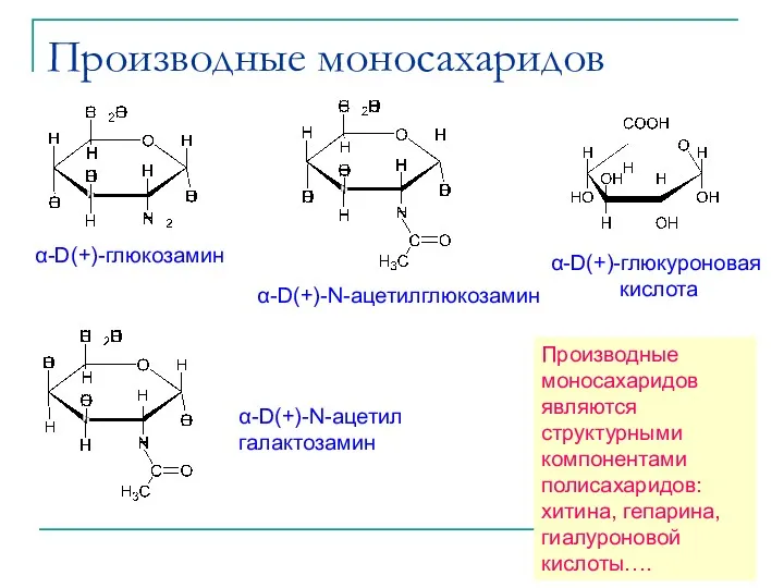 Производные моносахаридов α-D(+)-глюкозамин α-D(+)-N-ацетилглюкозамин α-D(+)-N-ацетил галактозамин α-D(+)-глюкуроновая кислота Производные моносахаридов