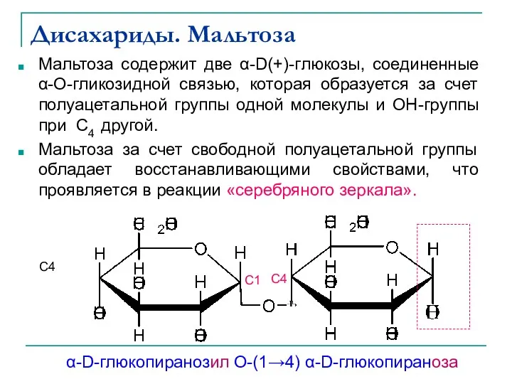 Дисахариды. Мальтоза Мальтоза содержит две α-D(+)-глюкозы, соединенные α-О-гликозидной связью, которая