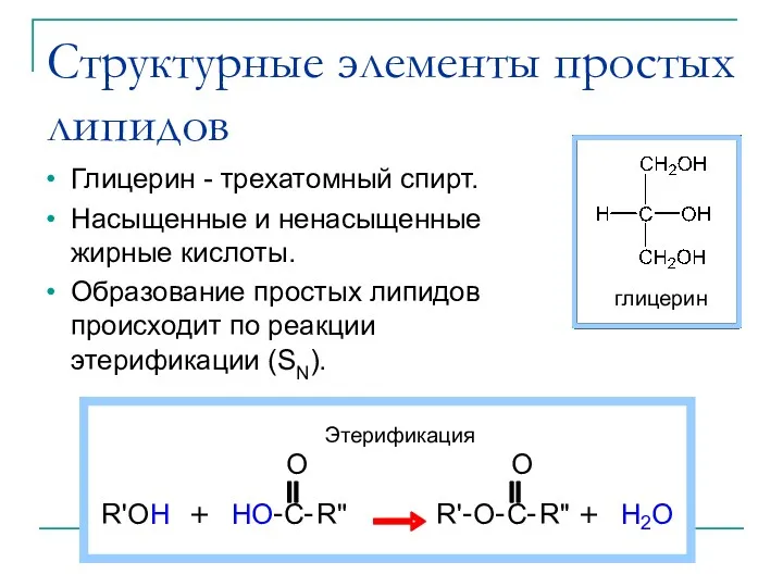 Структурные элементы простых липидов Глицерин - трехатомный спирт. Насыщенные и