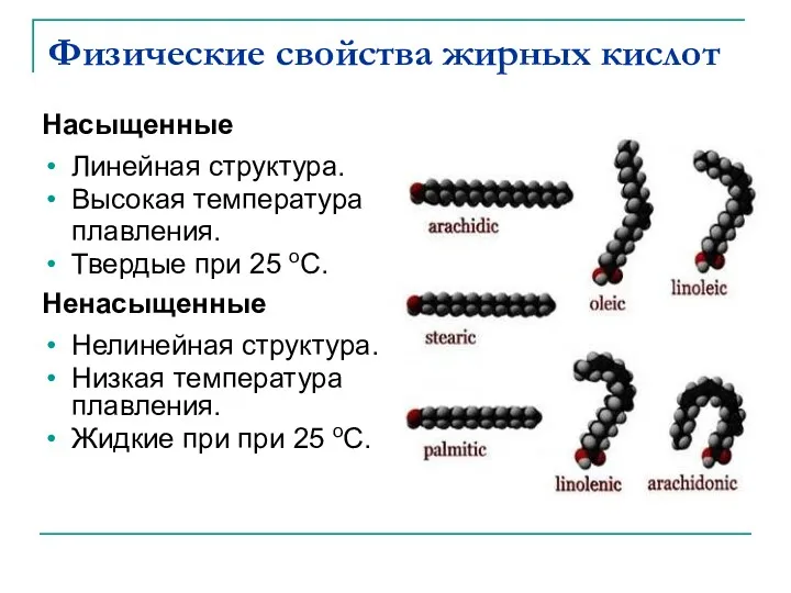 Физические свойства жирных кислот Насыщенные Линейная структура. Высокая температура плавления.