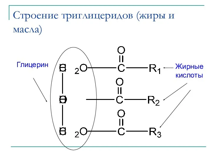 Строение триглицеридов (жиры и масла) Глицерин Жирные кислоты