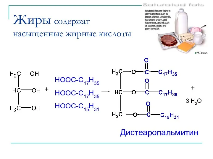 Жиры содержат насыщенные жирные кислоты Дистеаропальмитин HOOC-C17H35 HOOC-C17H35 HOOC-C15H31 + 3 H2O +