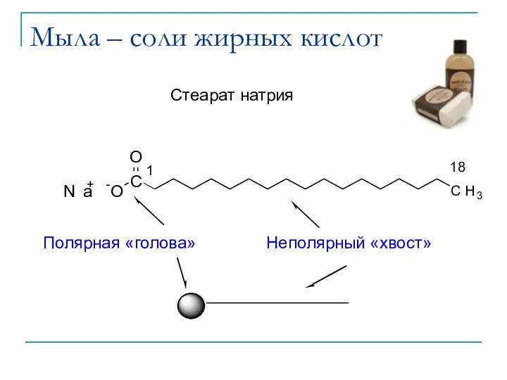 Мыла – соли жирных кислот Стеарат натрия