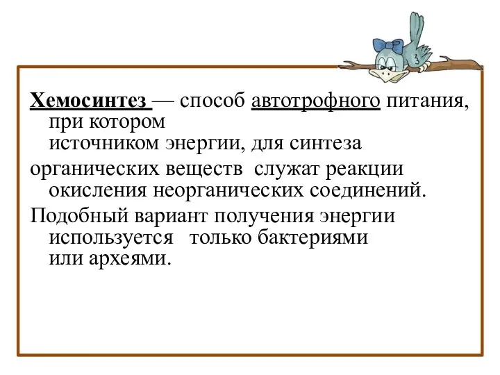 Хемосинтез — способ автотрофного питания, при котором источником энергии, для