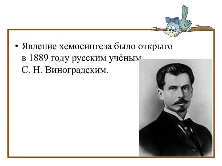 Явление хемосинтеза было открыто в 1889 году русским учёным С. Н. Виноградским.