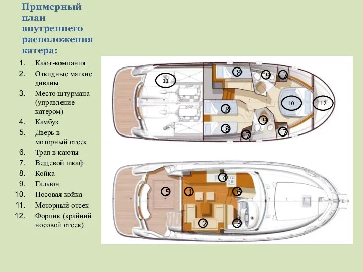 Примерный план внутреннего расположения катера: Кают-компания Откидные мягкие диваны Место штурмана (управление катером)