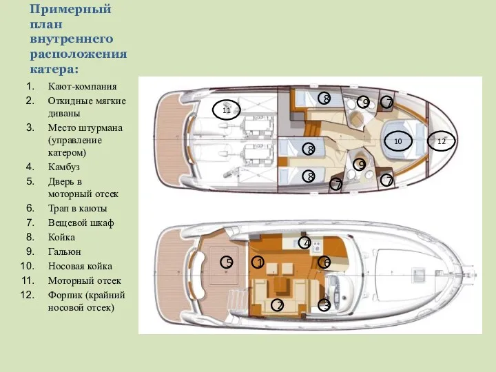 Примерный план внутреннего расположения катера: Кают-компания Откидные мягкие диваны Место