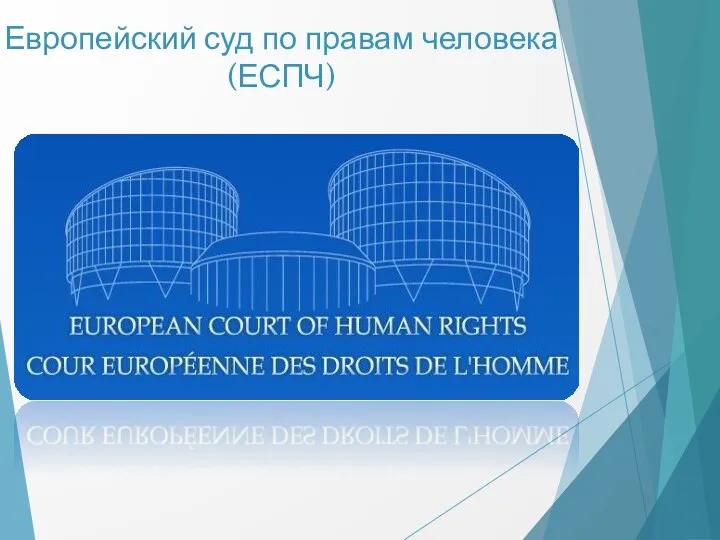 Европейский суд по правам человека (ЕСПЧ)