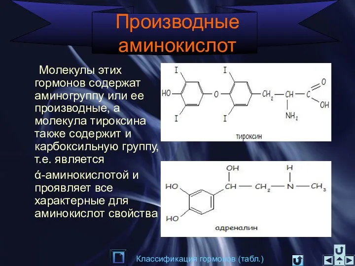 Производные аминокислот Молекулы этих гормонов содержат аминогруппу или ее производные,