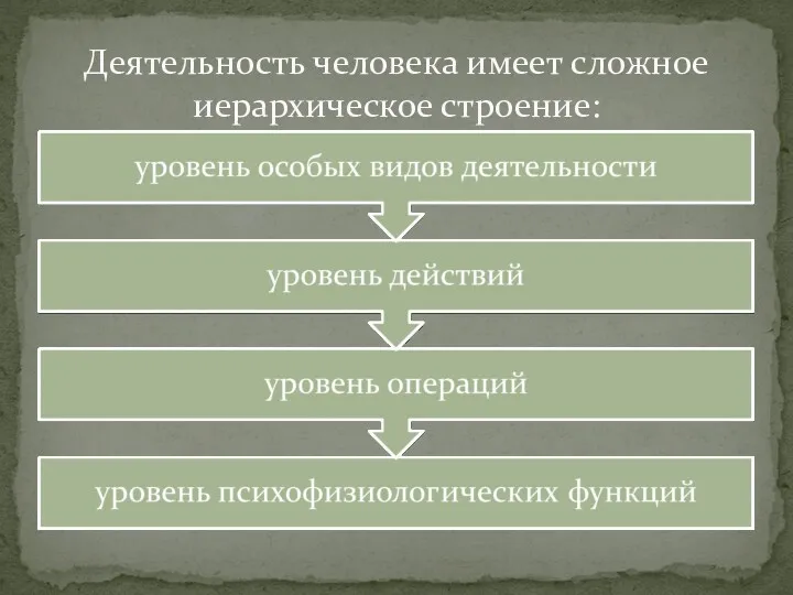 Деятельность человека имеет сложное иерархическое строение: