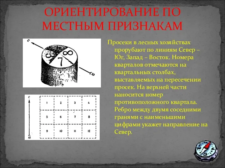 ОРИЕНТИРОВАНИЕ ПО МЕСТНЫМ ПРИЗНАКАМ Просеки в лесных хозяйствах прорубают по линиям Север –