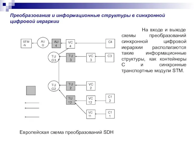 Преобразования и информационные структуры в синхронной цифровой иерархии Европейская схема