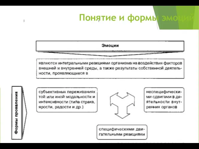 Понятие и формы эмоций