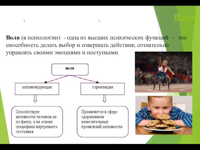 Воля Воля (в психологии) - одна из высших психических функций