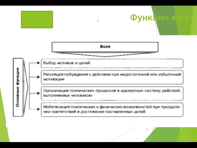 Функции воли