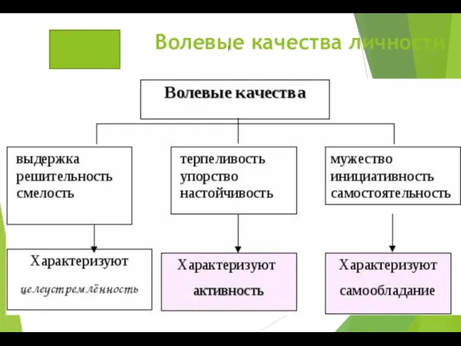 Волевые качества личности