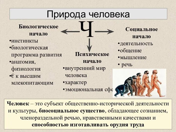 Природа человека Ч Биологическое начало инстинкты биологическая программа развития анатомия,