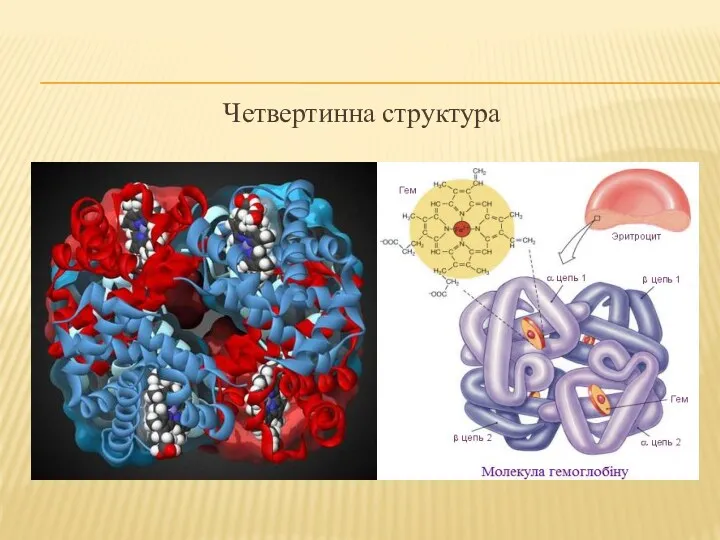 Четвертинна структура