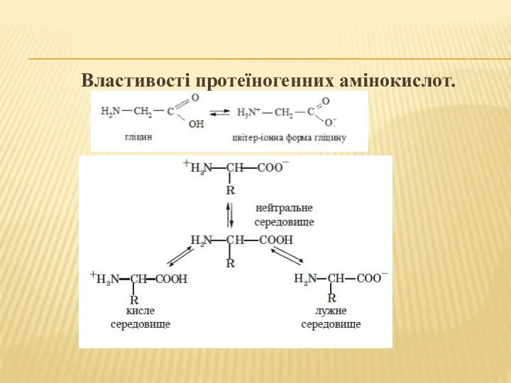 Властивості протеїногенних амінокислот.