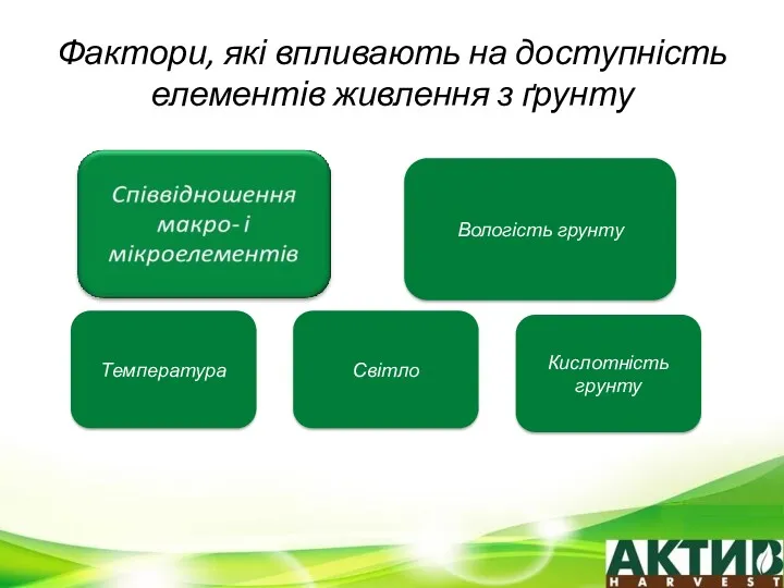 Фактори, які впливають на доступність елементів живлення з ґрунту Вологість грунту Температура Світло Кислотність грунту