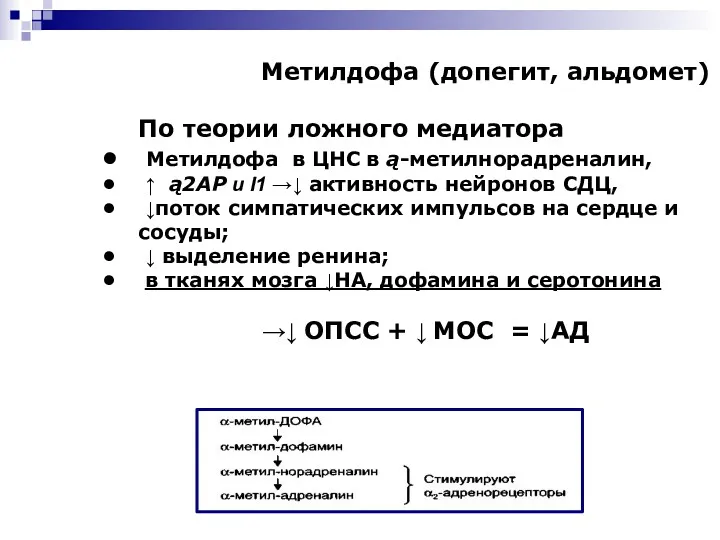 Метилдофа (допегит, альдомет) По теории ложного медиатора Метилдофа в ЦНС