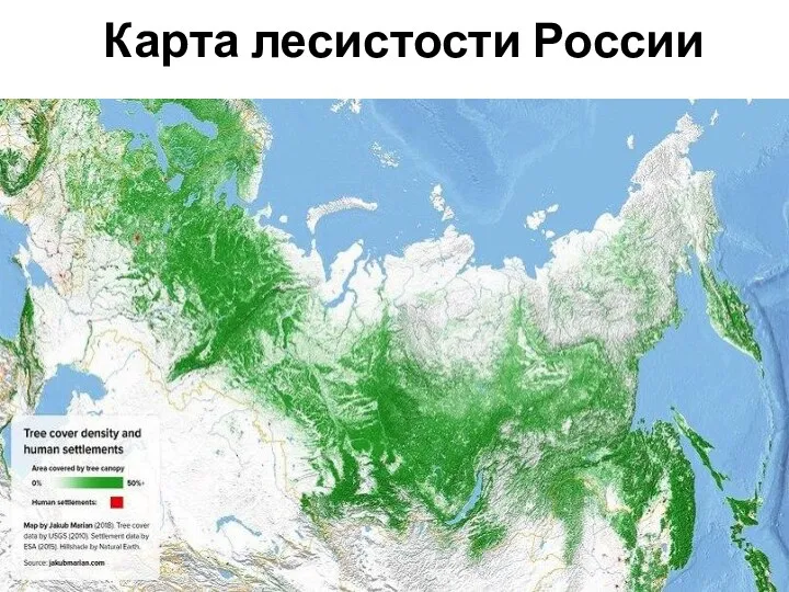 Карта лесистости России