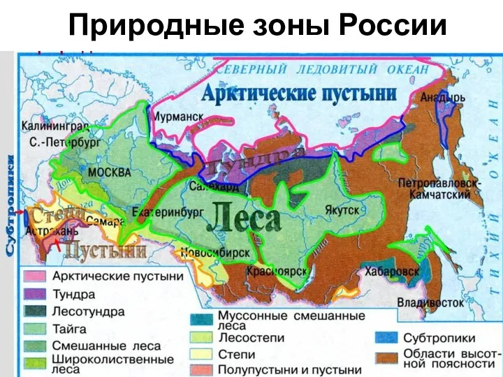 Природные зоны России