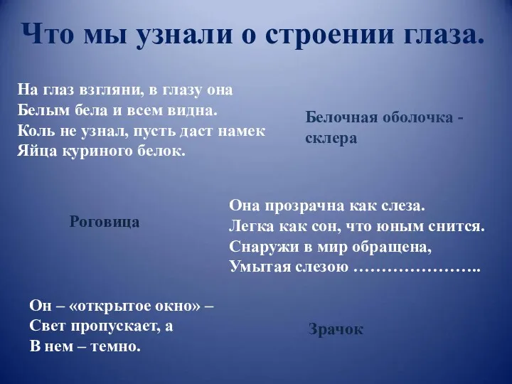 Что мы узнали о строении глаза. На глаз взгляни, в