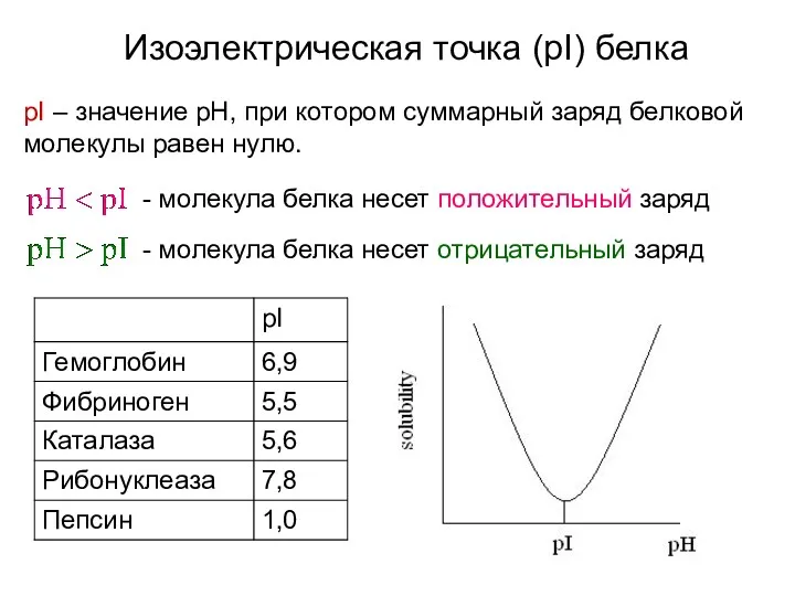 Изоэлектрическая точка (pI) белка pI – значение pH, при котором суммарный заряд белковой
