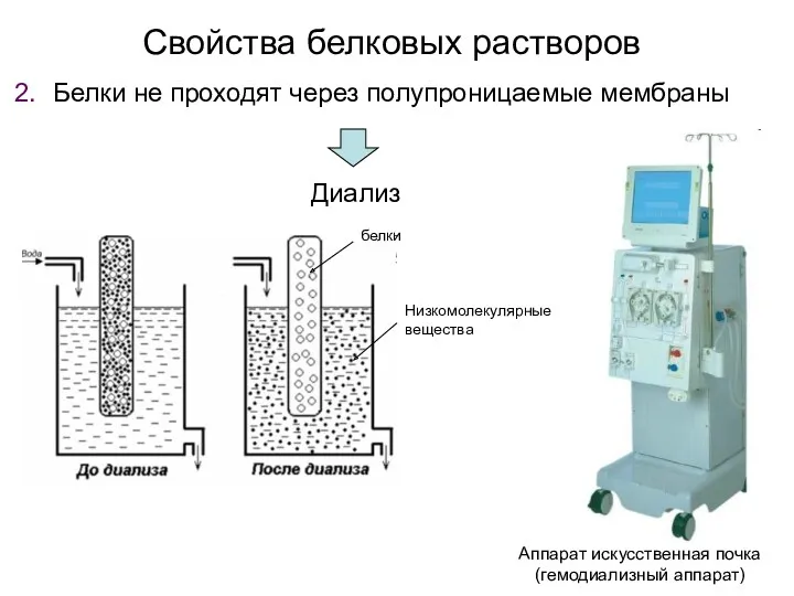 Свойства белковых растворов Белки не проходят через полупроницаемые мембраны Диализ Аппарат искусственная почка (гемодиализный аппарат)