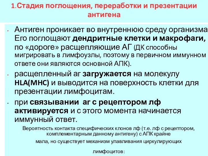 1.Стадия поглощения, переработки и презентации антигена Антиген проникает во внутреннюю