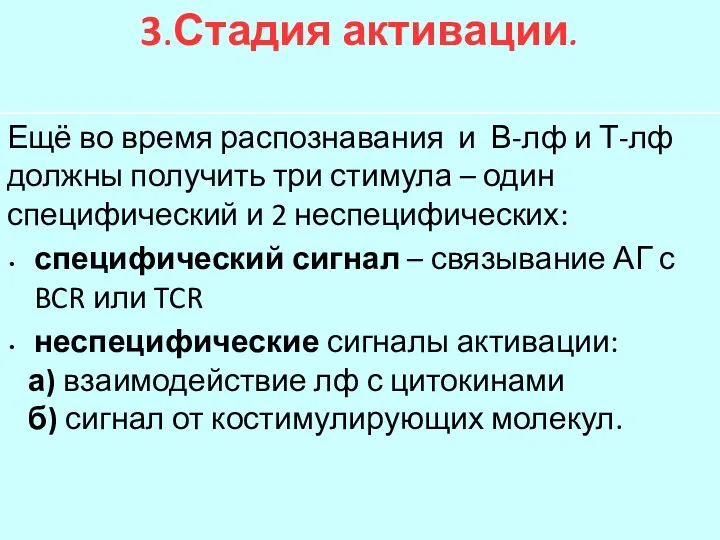 3.Стадия активации. Ещё во время распознавания и В-лф и Т-лф