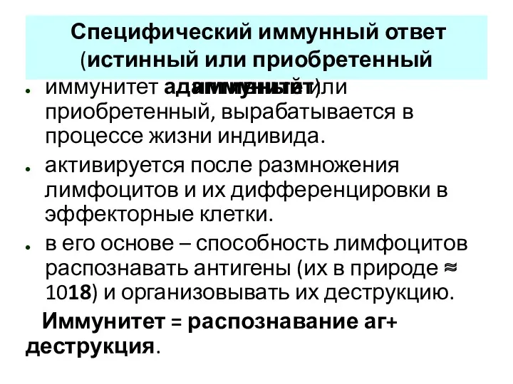 Специфический иммунный ответ (истинный или приобретенный иммунитет) иммунитет адаптивный или