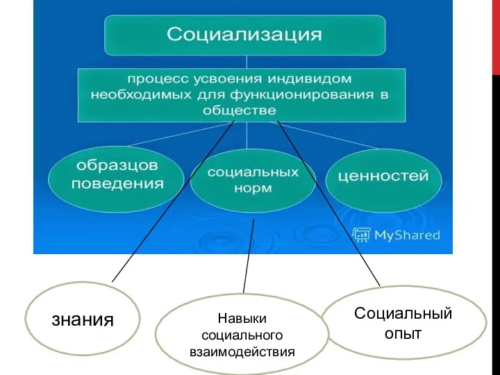 знания Социальный опыт Навыки социального взаимодействия