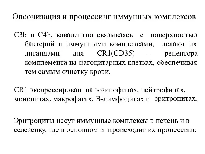 Опсонизация и процессинг иммунных комплексов С3b и С4b, ковалентно связываясь