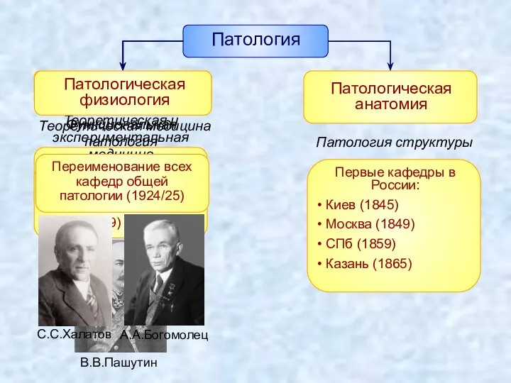 Патология Патологическая анатомия Общая патология Патология структуры Теоретическая медицина По