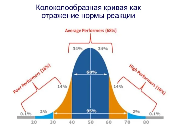 Колоколообразная кривая как отражение нормы реакции