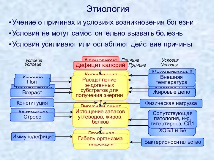 Этиология Учение о причинах и условиях возникновения болезни Условия не