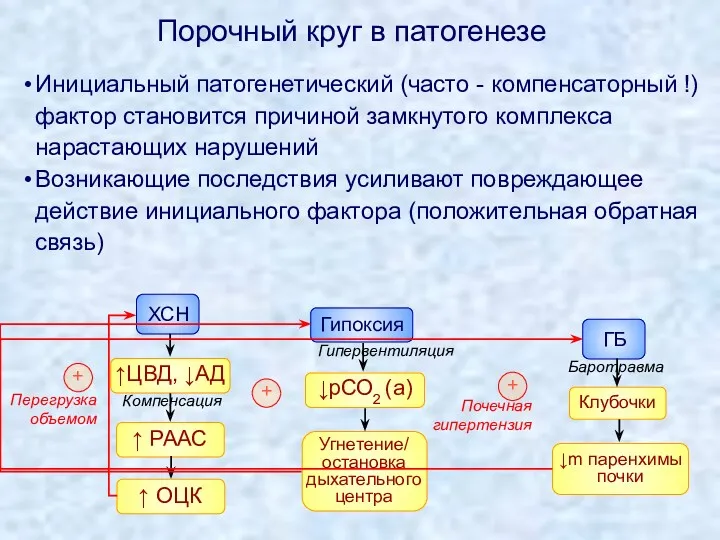 Порочный круг в патогенезе Инициальный патогенетический (часто - компенсаторный !)