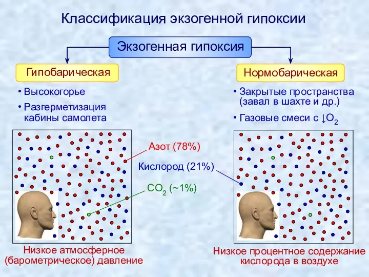 Классификация экзогенной гипоксии Низкое атмосферное (барометрическое) давление Низкое процентное содержание