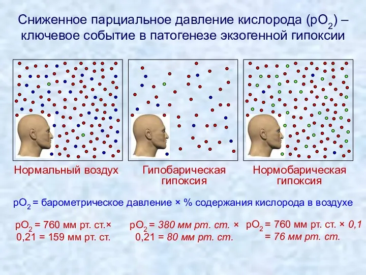 Сниженное парциальное давление кислорода (pO2) – ключевое событие в патогенезе