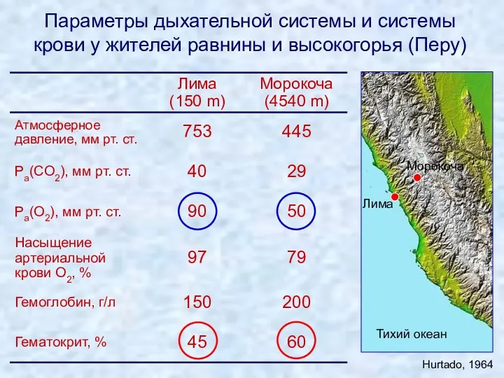 Параметры дыхательной системы и системы крови у жителей равнины и