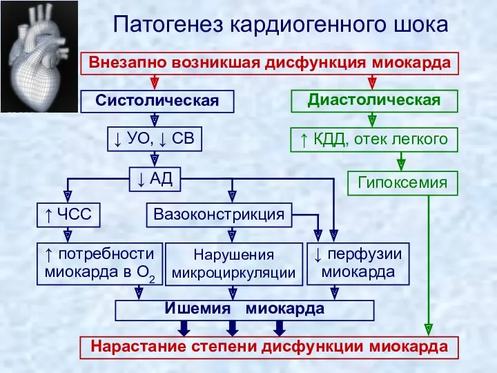 Патогенез кардиогенного шока Внезапно возникшая дисфункция миокарда Систолическая Диастолическая ↑