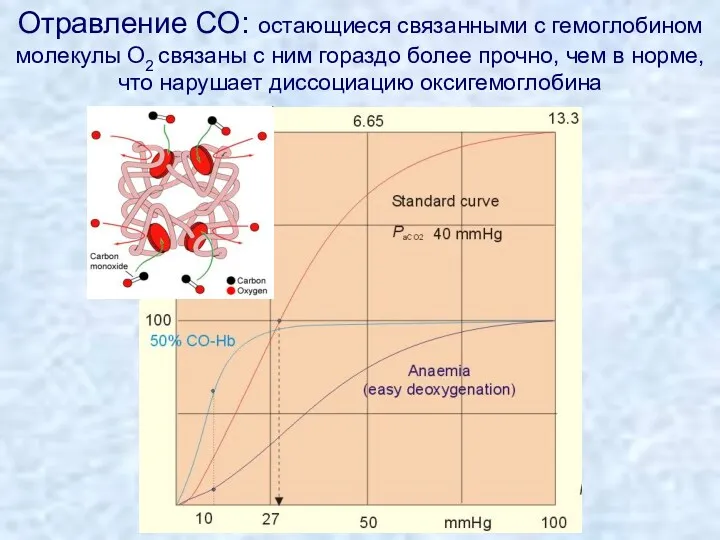 Отравление CO: остающиеся связанными с гемоглобином молекулы O2 связаны с