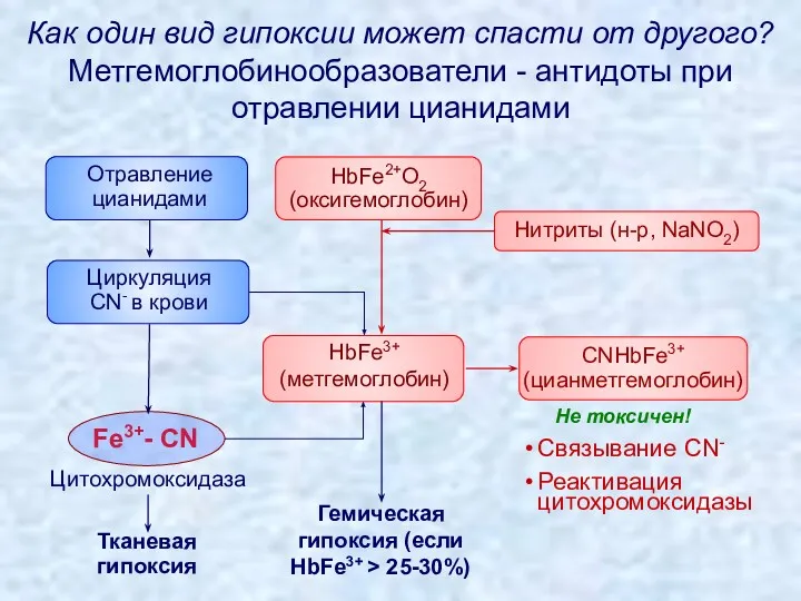 Как один вид гипоксии может спасти от другого? Метгемоглобинообразователи - антидоты при отравлении цианидами