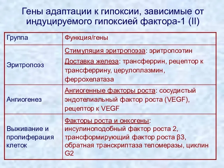 Гены адаптации к гипоксии, зависимые от индуцируемого гипоксией фактора-1 (II)