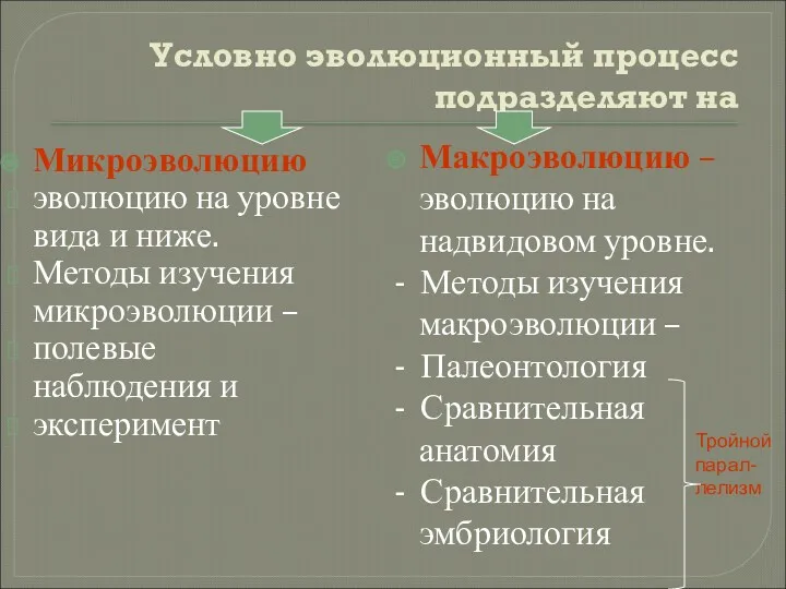 Условно эволюционный процесс подразделяют на Микроэволюцию эволюцию на уровне вида