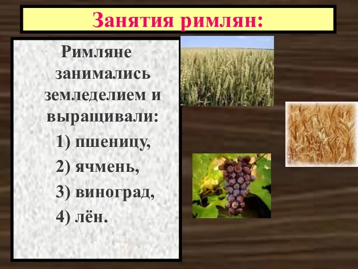 Занятия римлян: Римляне занимались земледелием и выращивали: 1) пшеницу, 2) ячмень, 3) виноград, 4) лён.